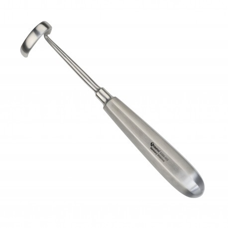 Legra Doyen Adulto Curva